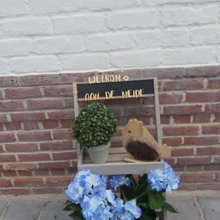 Апартаменты Aan De Meipe *