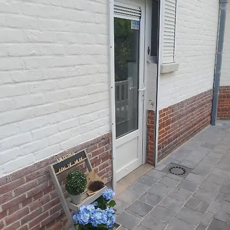 Aan De Meipe *