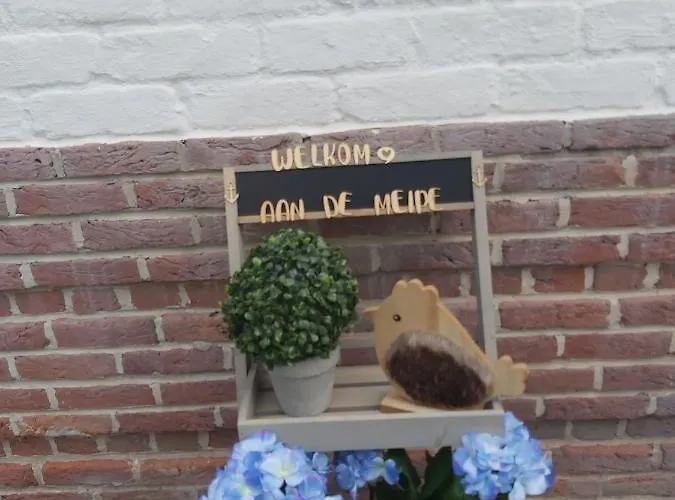 Апартаменты Aan De Meipe *